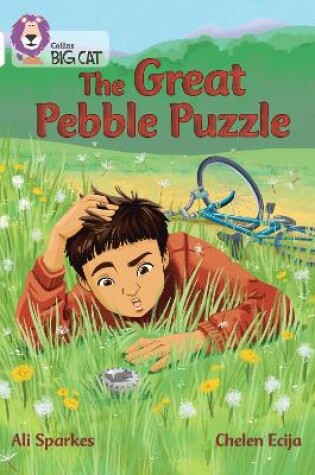 Cover of The Great Pebble Puzzle