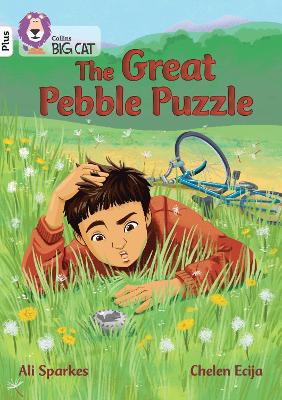 Cover of The Great Pebble Puzzle