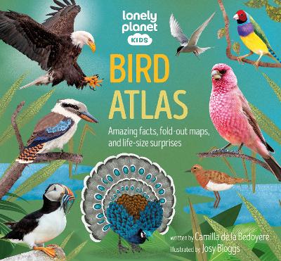 Book cover for Lonely Planet Kids Bird Atlas