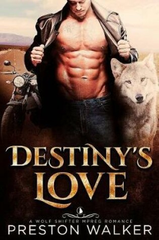 Cover of Destiny's Love