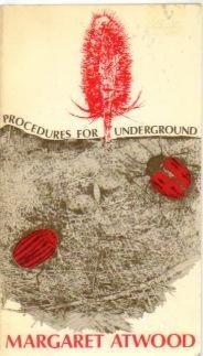 Book cover for Procedures for Underground