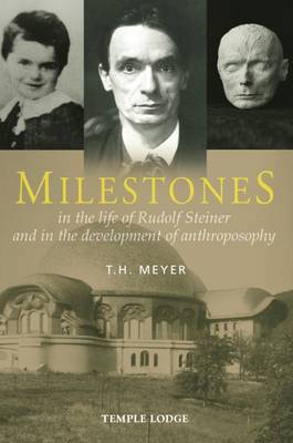 Book cover for Milestones