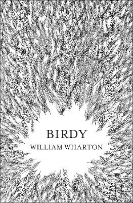 Book cover for Birdy