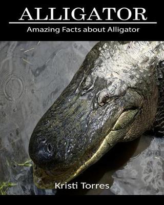 Book cover for Amazing Facts about Alligator