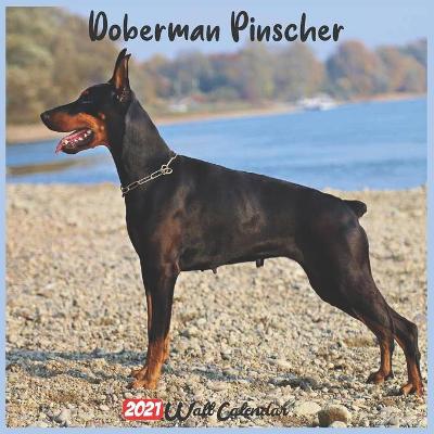 Book cover for Doberman Pinscher 2021 Wall Calendar