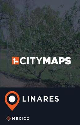 Book cover for City Maps Linares Mexico