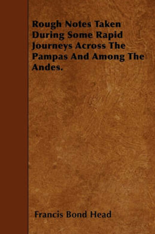 Cover of Rough Notes Taken During Some Rapid Journeys Across The Pampas And Among The Andes.