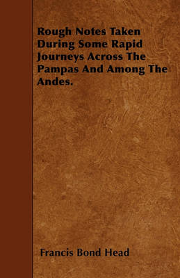 Cover of Rough Notes Taken During Some Rapid Journeys Across The Pampas And Among The Andes.