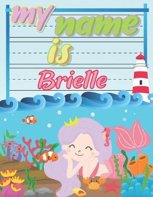 Book cover for My Name is Brielle