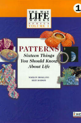 Cover of Patterns, Sixteen Things You Should Know About Life