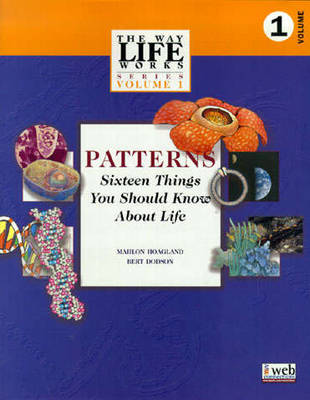 Book cover for Patterns, Sixteen Things You Should Know About Life