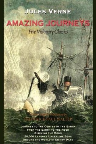 Cover of Amazing Journeys