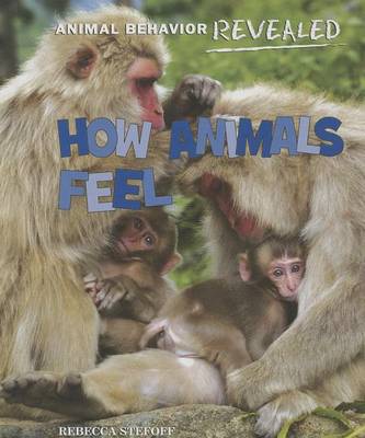 Book cover for How Animals Feel