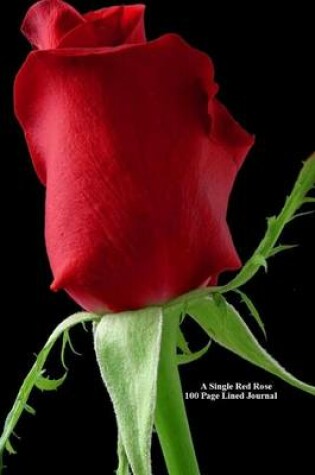 Cover of A Single Red Rose 100 Page Lined Journal