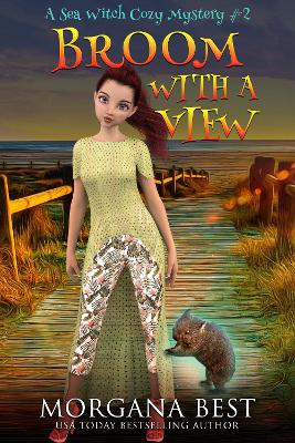 Book cover for Broom With a View