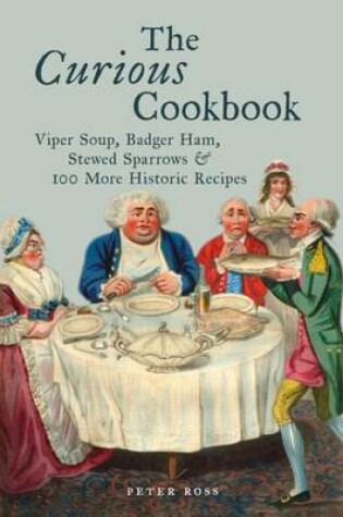 Cover of The Curious Cookbook