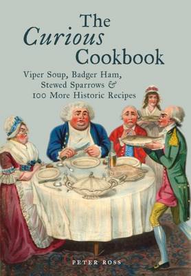 Book cover for The Curious Cookbook