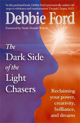 Book cover for Dark Side of the Light Chasers