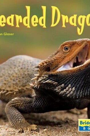 Cover of Bearded Dragons