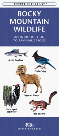 Book cover for Rocky Mountain Wildlife