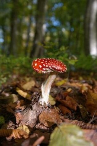 Cover of Mushroom in the Forest Journal