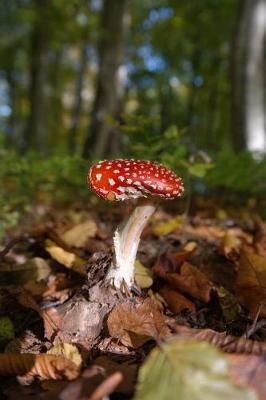 Book cover for Mushroom in the Forest Journal