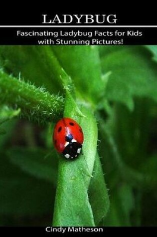 Cover of Ladybug