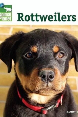 Cover of Rottweilers