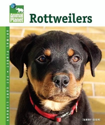 Book cover for Rottweilers