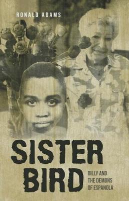 Book cover for Sister Bird