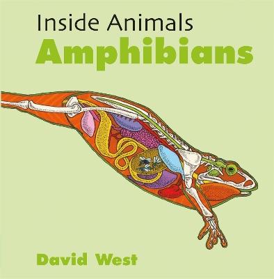 Book cover for Inside Animals: Amphibians