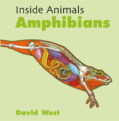 Cover of Inside Animals: Amphibians