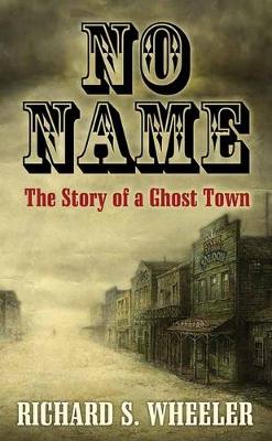 Book cover for No Name