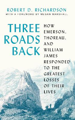 Book cover for Three Roads Back