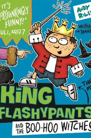 Cover of King Flashypants and the Boo-Hoo Witches