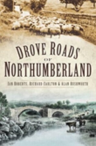 Cover of Drove Roads of Northumberland