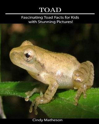 Book cover for Toad