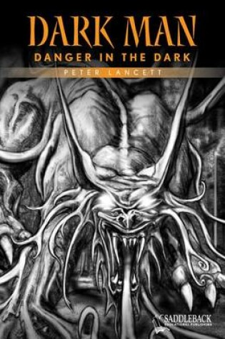 Cover of Danger in the Dark (Orange Series)