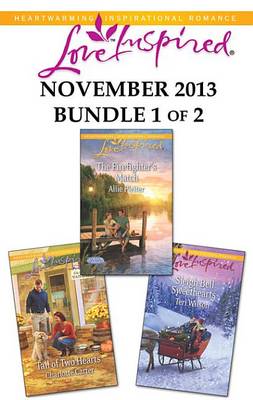 Book cover for Love Inspired November 2013 - Bundle 1 of 2