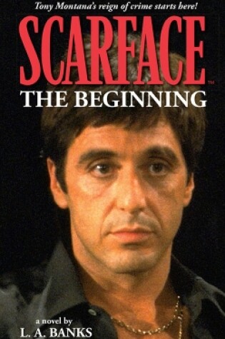 Cover of Scarface Volume 1: The Beginning Volume