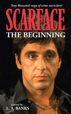 Book cover for Scarface Volume 1: The Beginning Volume