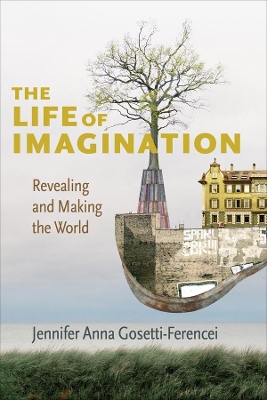 Book cover for The Life of Imagination