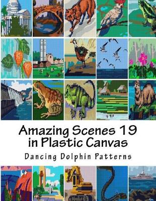 Book cover for Amazing Scenes 19