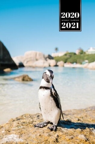 Cover of Penguin Puffin Antarctica Seabird Week Planner Weekly Organizer Calendar 2020 / 2021 - Sunny Coast