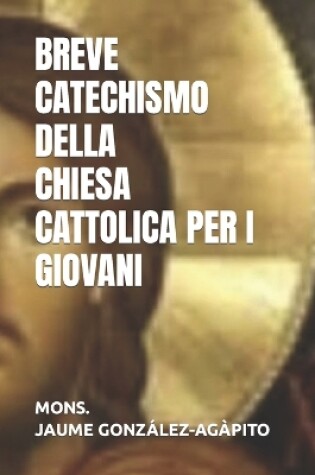 Cover of Breve Catechismo Della Chiesa Cattolica Per I Giovani