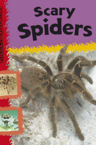 Cover of Killer Nature: Scary Spiders