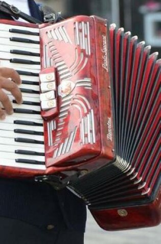 Cover of A Vintage Red and White Accordion Journal