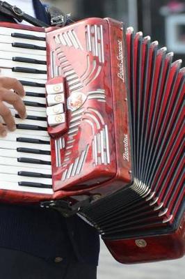 Book cover for A Vintage Red and White Accordion Journal