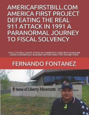 Cover of Americafirstbill.com America First Project Defeating the Real 911 Attack in 1991 a Paranormal Journey to Fiscal Solvency