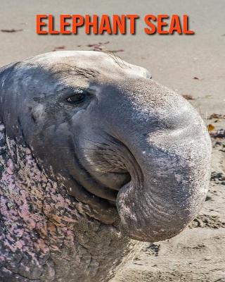 Cover of Elephant Seal